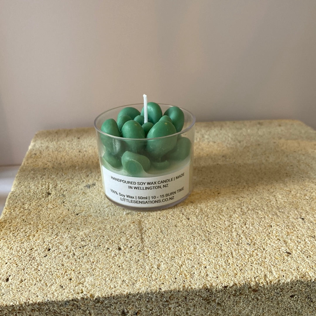 Succulent Candles