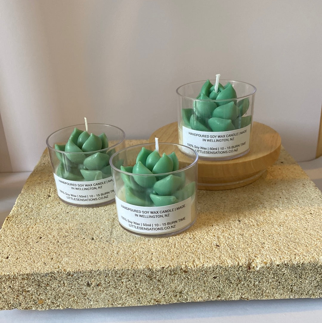 Succulent Candles