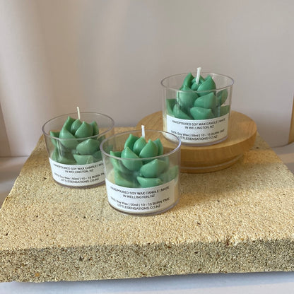 Succulent Candles