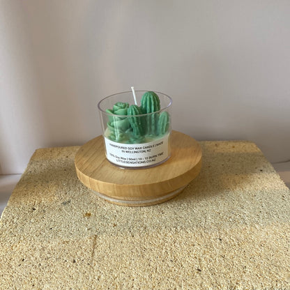 Succulent Candles