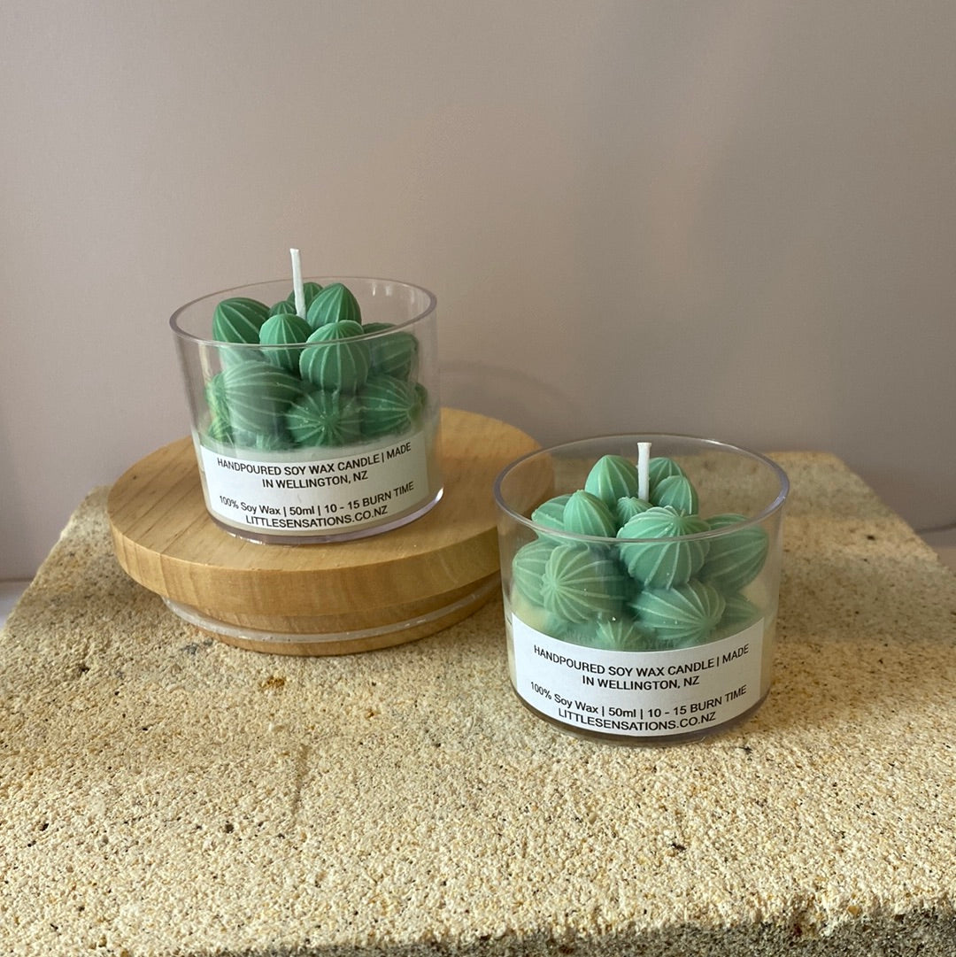 Succulent Candles